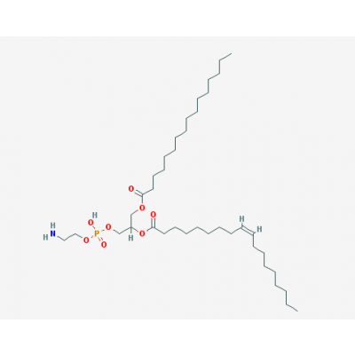 新研博美1-棕榈酰基-2-油酰基磷脂酰乙醇胺pope/10015-88-0提供技术
