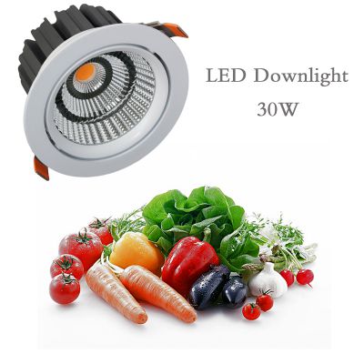 Led food