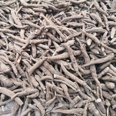 铁牛七 八百棒 铁棒锤 云南上一枝蒿是不是同一种植物