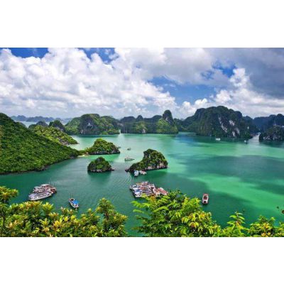 去越南跟团游多少钱 哪个旅行社靠谱