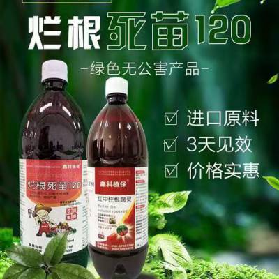 茶树炭疽病 农抗120效果 甜瓜病害防治烂根死苗120药