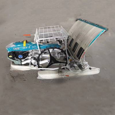 手扶式汽油动力插秧机 六行水稻移栽机 水稻插秧栽苗机