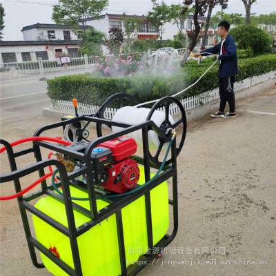 四輪噴霧器價格 自走式噴霧器 供應打藥機圖片