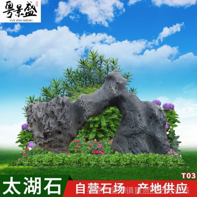 全新漫画体验！天漫网308期：漫画爱好者的创作乐园