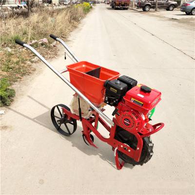 汽油播种机 乐民牌种花生机 汽油小型花生精播机乐民牌