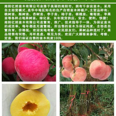 十大暴利水产饲养项目